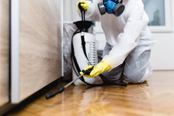 Best Flea Control Services  in Darien, GA