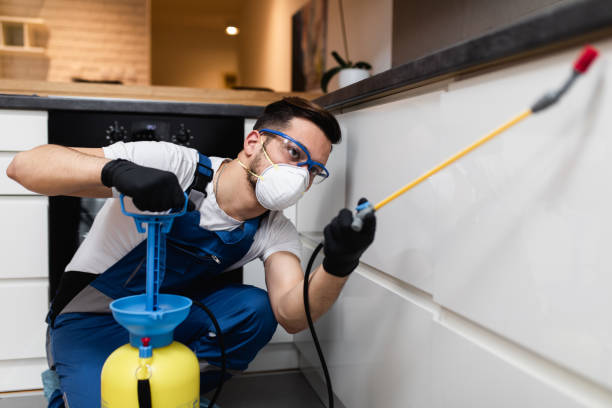 Best Pest Control Near Me  in Darien, GA