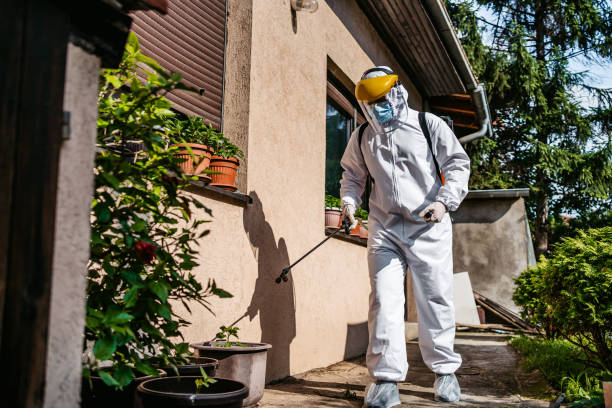 Best Rat Extermination Near Me  in Darien, GA