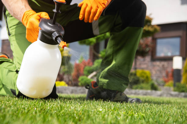 Best Spider Control Near Me  in Darien, GA