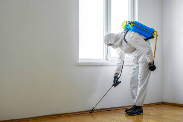 Best Cockroach Control Services  in Darien, GA