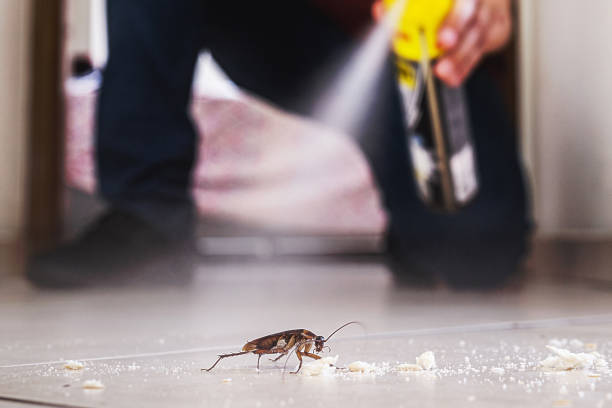 Best Local Pest Control Services  in Darien, GA