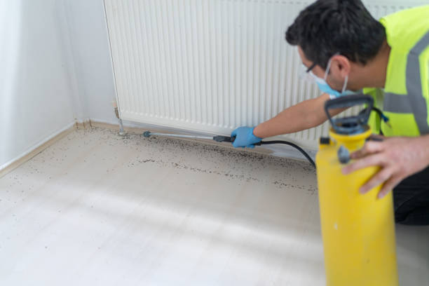 Best Pest Inspection Near Me  in Darien, GA