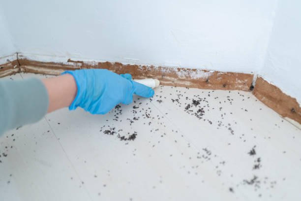 Best Pest Control for Restaurants  in Darien, GA